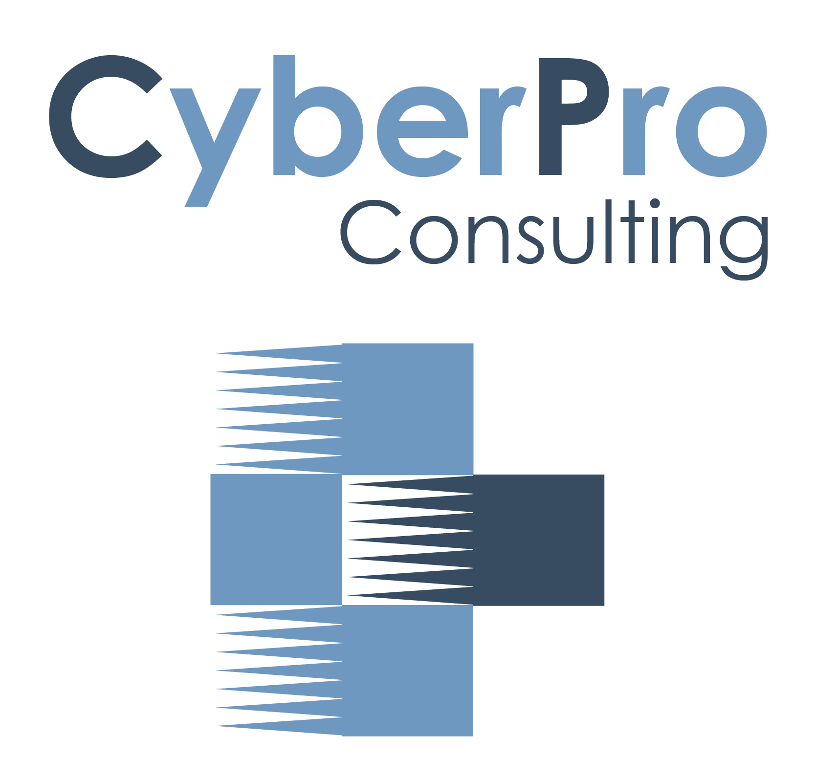 Partners cyberpro consulting