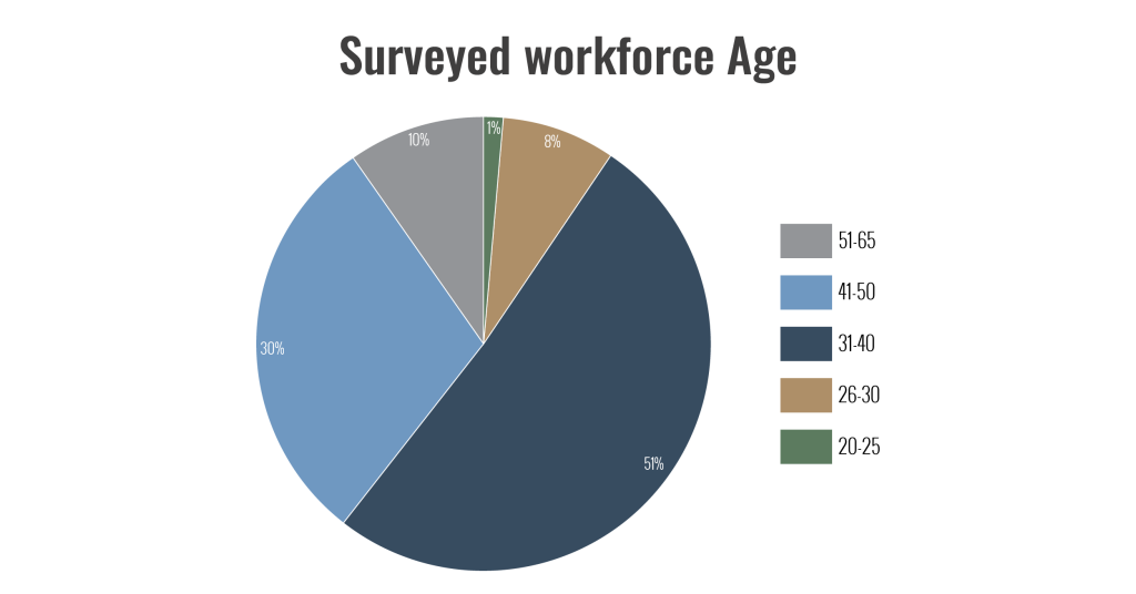 Work Setup Survey Insights - surveyed workforce demographics (age)